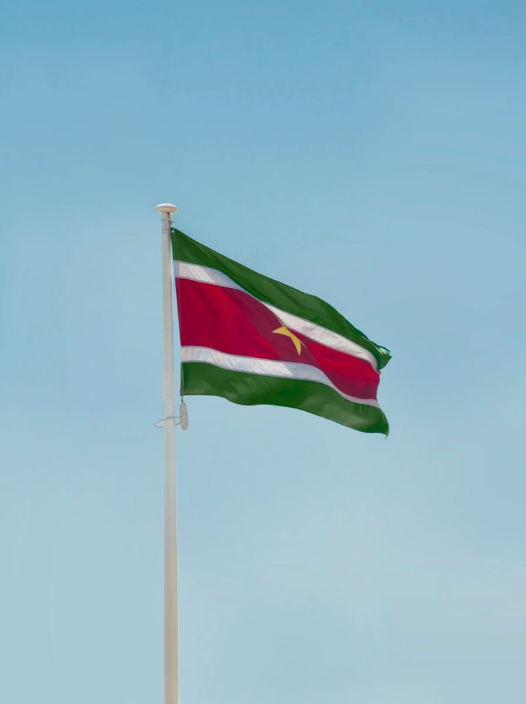 Suriname tarihi – 1975