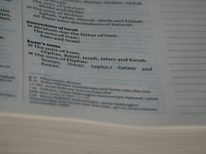 Çifte Vatandaşlık İşlemleri