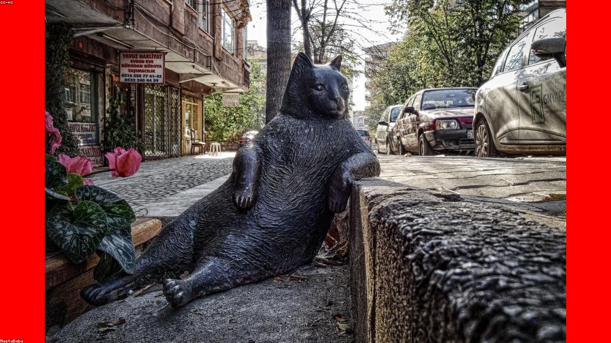 Rıfkı İçerik Görseli
